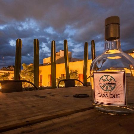 Отель Casa Olie Oaxaca Экстерьер фото