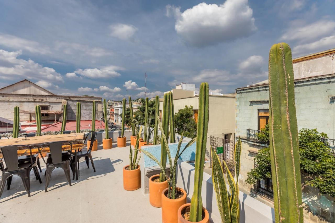 Отель Casa Olie Oaxaca Экстерьер фото